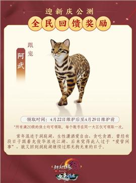 找天龙八部私服漏洞